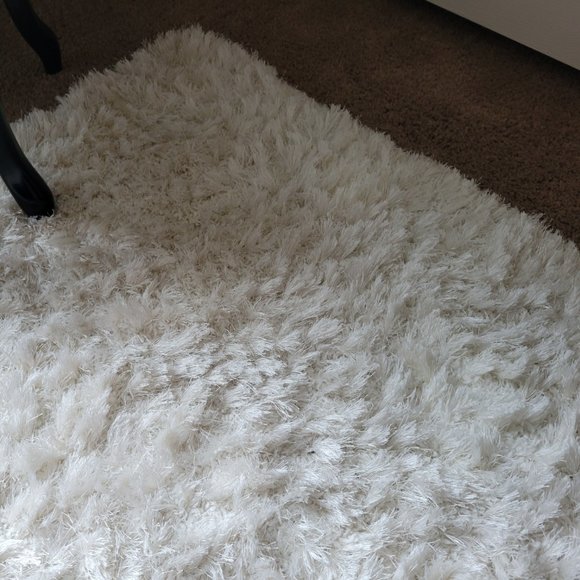 Comforter, shams, and rug - Picture 4 of 6